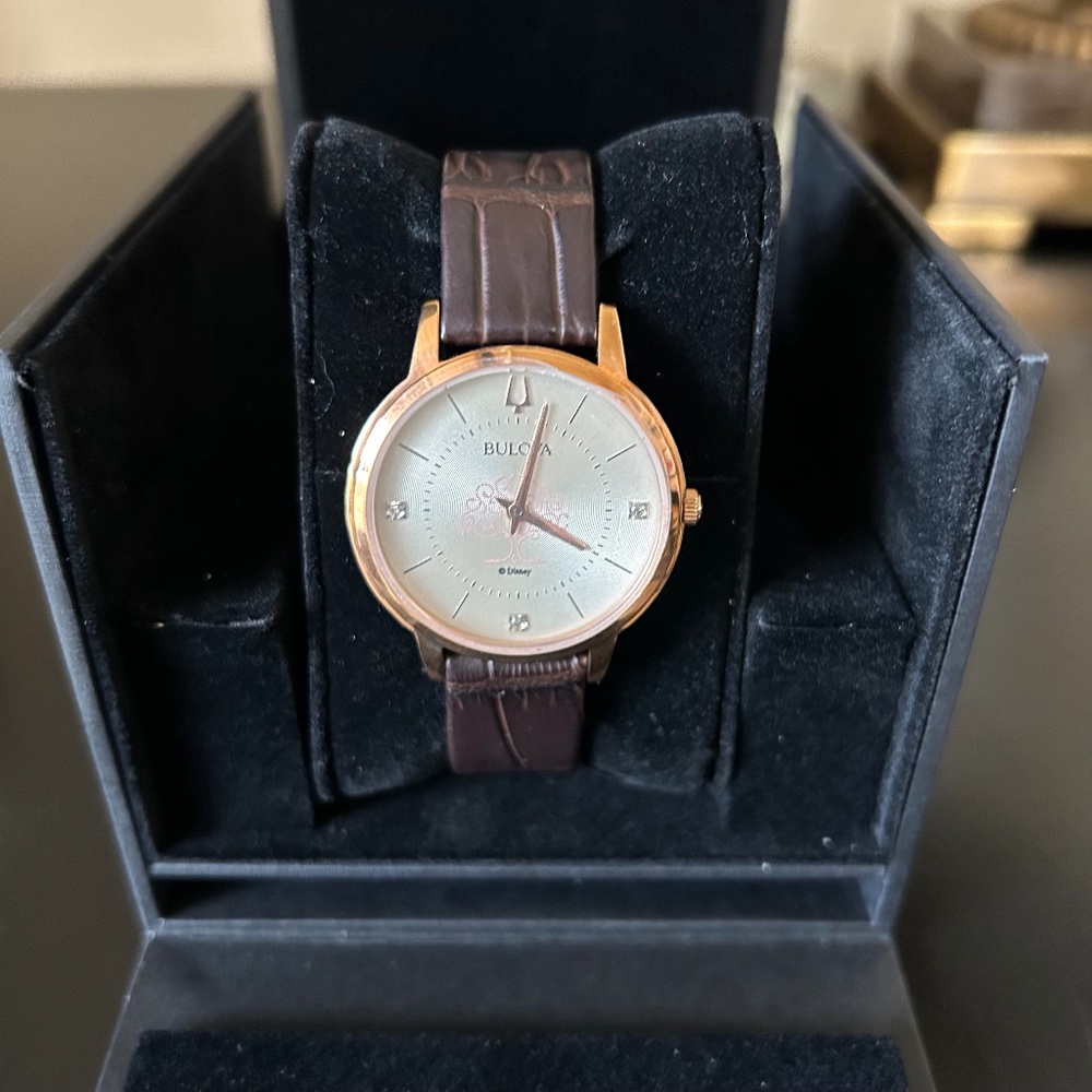 Brown Leather Watch for Women. NWT